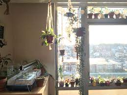 Nature Aesthetic Tumblr Interior Design Courses Online Nature Inspired Bedroom Eclectic Interior Design