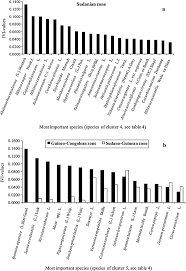 Image result for Diplolophium africanum