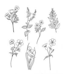 53 Ideas Drawing Nature Flower Sketch Flower Sketches Flower Drawing Drawings I was able to complete a few flower drawings throughout the challenge though and i am excited to share.