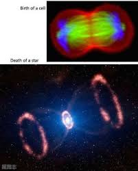 Imgfave Amazing And Inspiring Images Fractals In Nature Death Of A Star Fractals