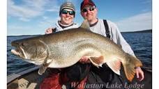 World's Best Lake Trout Waters - In-Fisherman