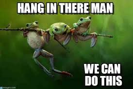 20 Hang In There Meme To Motivate You Ultima Status