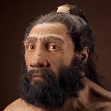 Homo neanderthalensis