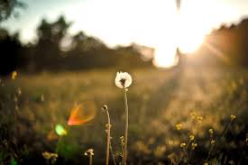 Read how to move on from a broken heart after a breakup. 10 Steps To Move On From A Relationship Personal Excellence