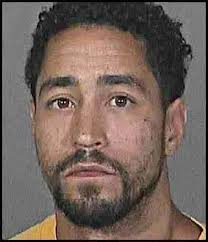 Calgary pit bull death perp Bagarić fined $18,000; U.S. perp gets 35 years 