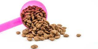 The 50 Best Grain Free Dog Foods Grain Free Dog Food Brands Dog Food Recipes Free Dog Food