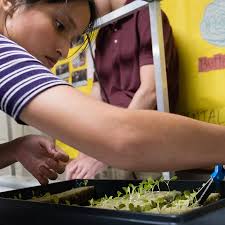 At one Virginia school, a twist