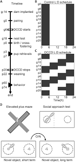 Department of the treasury internal revenue what do i do after i fill in schedule h? Maternal And Early Life Circadian Disruption Have Long Lasting Negative Consequences On Offspring Development And Adult Behavior In Mice Scientific Reports