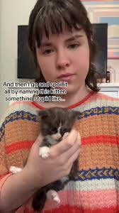 Yes thats really his name. #mainecoonkittens #mainecoonsoftiktok #fyp  #mainecoon