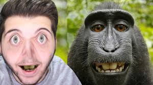 Hayvan Olma Simulator Youtube