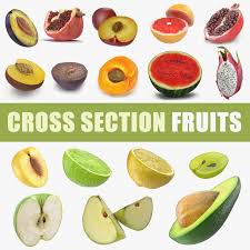Cross Section Fruits Collection 4 3d Model Fruit Food 3d Model
