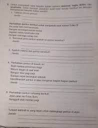 Syarat syair, syarat syarat gurindam, syarat syarat pantun dan syair, teks pantun tersebut termasuk jenis pantun, teks prosedur membuat pantun, tema pantun, terangkan pengertian pantun,. Contoh Soal Essay Pantun Rumpang Dan Jawabannya Masnurul