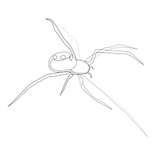 Widow Spider One Line By Addillum Spider Drawing Black Widow Tattoo Spiderman Tattoo