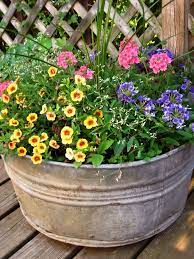 Plants that need full sun grow fuller with more robust foliage if placed in bright light. Flowers For Full Sun Heat Pot Contains Four Types Of Heat Tolerant Annuals Requiring Full Sun Garden Containers Plants Full Sun Container Plants