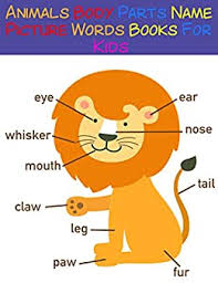 Once students have learned body parts vocabulary they can use these words to describe themselves and others, to ask and answer about a great way to start your body parts class is with a fun song. Animals Body Parts Name Picture Words Books For Kids Learn Animals Body Parts With Many Beautiful Animals Pictures And Words Kindle Edition By Orellana Katherine Reference Kindle Ebooks Amazon Com