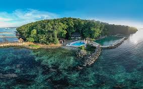 Family care medical centre ocho rios. Expensive Review Of Dolphin Cove Ocho Rios Ocho Rios Jamaica Tripadvisor