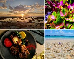 The sharp aquos r6 will also capture professional quality images. 1nwkvc0xt Fmm