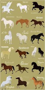 Quiz Answers Get To Know These Famous Horses Fantasy Horses Horse Drawings Cute Horses