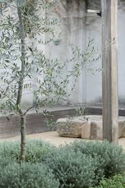 Smee Schoff House Sam Crawford Architects Photo C Brett Boardman Spirit Level Mediterranean Garden Design Mediterranean Garden Australian Garden