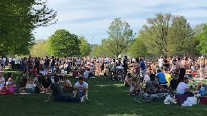 Canada, province of ontario, city of toronto, trinity bellwoods park. Several Tickets Issued At Crowded Toronto Park After People Spotted Urinating Defecating In Driveways Backyards Ctv News