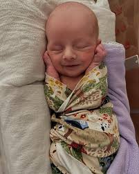 Liam Hamilton (@liam_hamilton7) • Instagram photos and videos