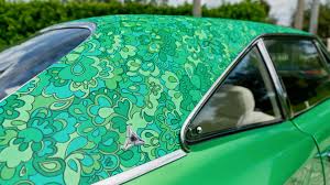 Image result for Light Green 1969 Coronet