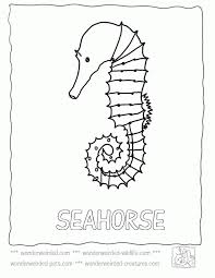 The coloring page doesn't include a seahorse so we used this one from making learning fun. Seahorse Pictures To Color Coloring Home