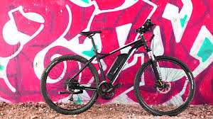 Test Fischer Mtb Ebike Em 1724 Bike Bild