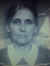 Information about Robudia family history?