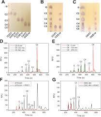 It is named after the french bacteriologist didier raoult. Plos One Structure And Function Of A Novel Gh8 Endoglucanase From The Bacterial Cellulose Synthase Complex Of Raoultella Ornithinolytica