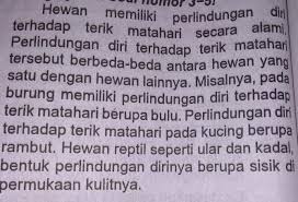 We did not find results for: Berdasarkan Ide Pokok Nya Paragraf Di Atas Disebut Paragraf A Induktifb Campuran Brainly Co Id