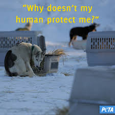 PETA (People for the Ethical Treatment of Animals)