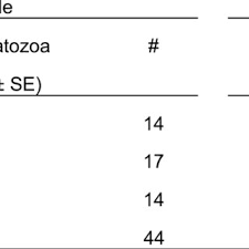 Pdf Year Round Captive Spawning Performance Of The Sea Urchin Paracentrotus Lividus