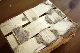 The kitchen food moths can penetrate through the ventilation. Overcoming A Pantry Moth Plague No Ordinary Homestead