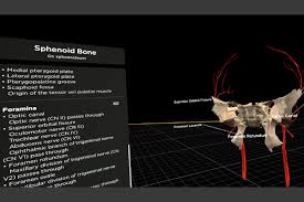 Uruj zehra mbbs, mphil, phd last. Body Map Pro Immersive Vr Anatomy Learning Solution More Than Simulators