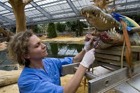 4 Insider Tips To Get A Zoo Job Zoo Veterinarian Zoologist Career Animal Rescue Ideas