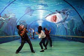 Wisata bandung yang tergolong baru ini berada di jl. Lokasi Dan Harga Tiket Masuk Museum 3 Dimensi Bandung Aka Amazing Art World Serunya Berfoto Dengan Latar 3d Daka Tour