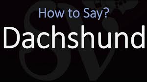 2021 february 8, nathaniel popper, elon musk and snoop dogg push cryptocurrencies to record highs, in the new york times. How To Pronounce Shiba Inu Correctly Dog Breed Name Pronunciation Youtube