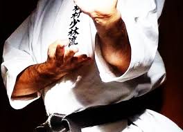 Risultati immagini per Kata del karate