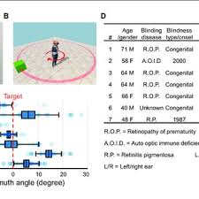 Pdf Augmented Reality Powers A Cognitive Assistant For The Blind A The Microsoft Hololens Wearable Augmented Reality Device Arrow Points To One Of Its Stereo Speakers B In Each Trial Of The