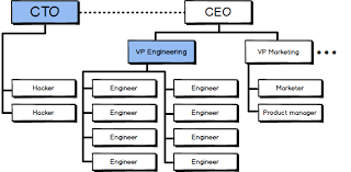 Cto Vs Vp Engineering Whats The Difference Ivy Exec Blog
