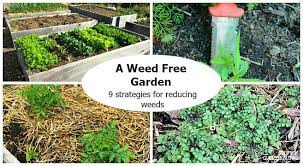 You don't need to soak them so they are dripping wet but spray an even coat. A Weed Free Garden 9 Strategies For Reducing Weeds
