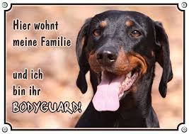 Segugio austriaco nero focato (it); Hundeschild Brandlbracke Bodyguard Stabiles Metallschild Mit Fotodruck