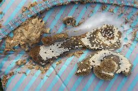 © dario lo presti erfahren sie in diesem artikel wie man teppichkäfer loswerden kann. Binker Materialschutz Gmbh Teppichkafer Museumskafer Pelzkafer Und Konsorten