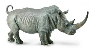 Design, model, present, analyze, realize. Collecta Wildlife Collecta White Rhinoceros 88852