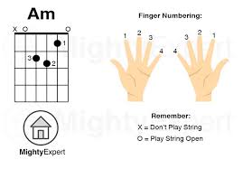 How To Play A Minor Am Chord On Guitar Finger Positions