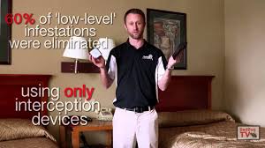 Blackout is the latest innovation in bed bug detection developed by bedbug central. Bed Bug Detection Bedbug Central