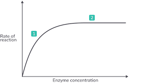 Factors Affecting Enzyme Activity Revision notes | A-Level Biology OCR |  Cognito