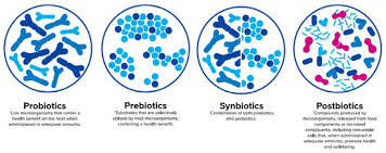 Image result for Infant Nutrition Components