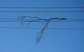 You'll often find them near mountain passes, in the deep valley areas, near major freeway crossings and around airports. Tree Branches Touching Power Lines Green Vista Tree Care
